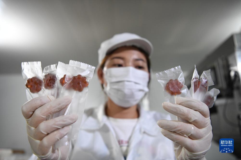 捕鱼游戏免费试玩不用登录